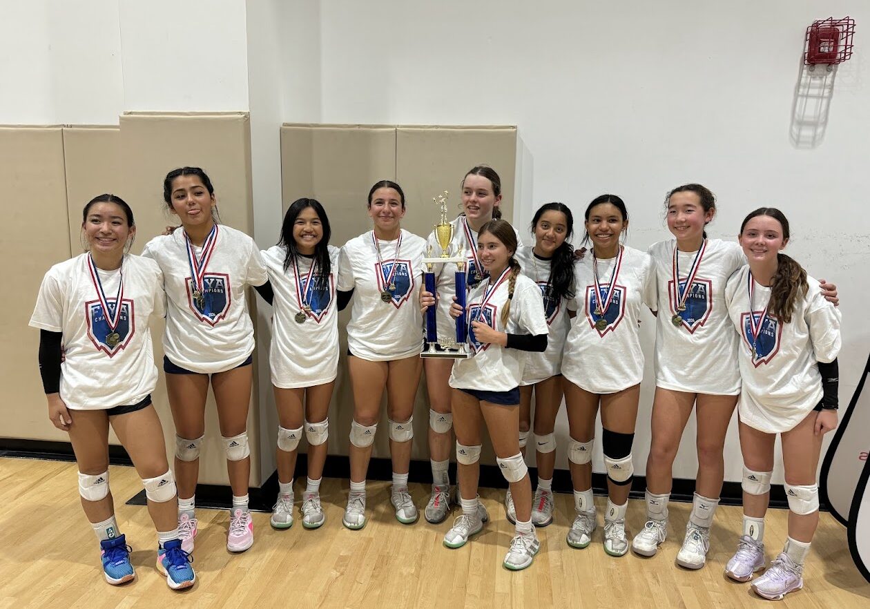 2024 D-1 VB Champ NDA 2024 D-1 VB Champ NDA